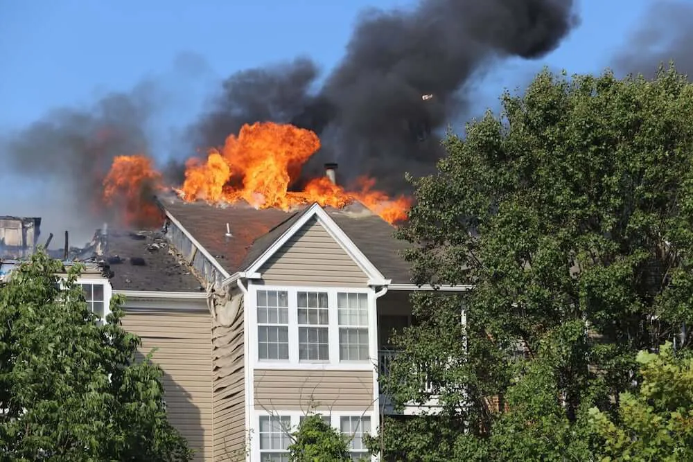 取り残された猫とモルモットを消防士が救出 米国メリーランド州で起こった火事の一部始終 Cat Press キャットプレス