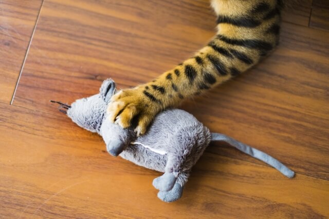 ネズミの玩具を捕まえた猫の手