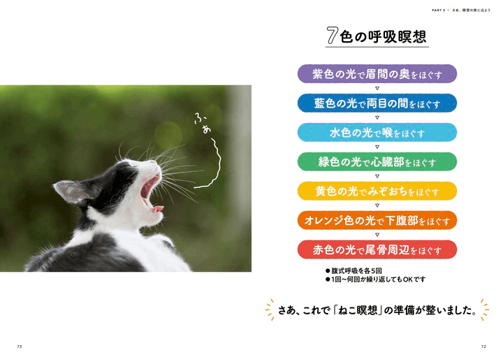 猫をイメージして5分でリフレッシュ 猫の写真を眺めながら瞑想を学べる書籍 ねこ瞑想 Cat Press キャットプレス