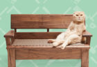 職人が猫のために作り上げた高級インテリア！話題の「ネコ家具」が10名に当たるチャンス