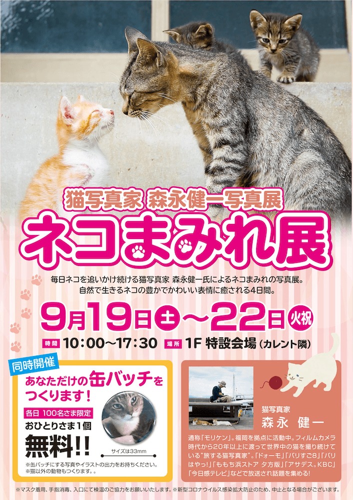 ネコまみれ展〜猫写真家　森永健一写真展～のポスター