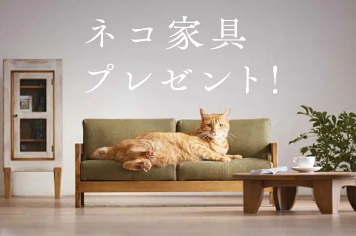 職人が猫のために作り上げた高級インテリア 話題の ネコ家具 が10名に当たるチャンス Cat Press キャットプレス