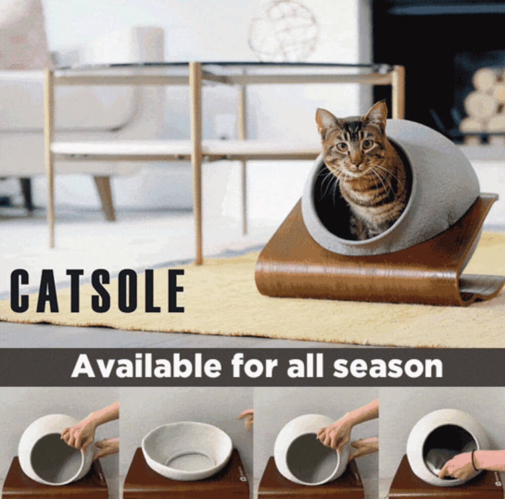 洗濯乾燥機で洗える猫用ベッド「CATSOLE（キャットソル）」メインビジュアル