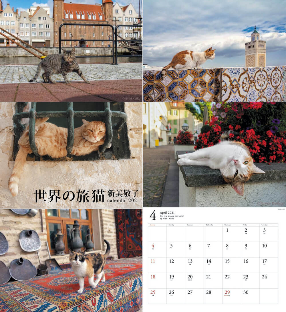 世界の旅猫カレンダー2021の中面イメージ by 犬猫写真家・新美敬子