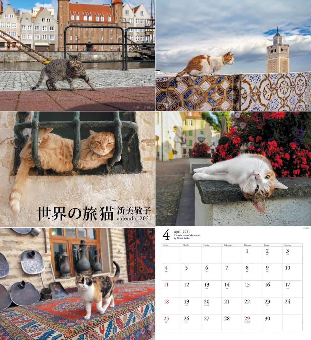 ギリシャからブルネイの猫まで 新美敬子さんが出会った世界の猫カレンダーが登場 21年版 Cat Press キャットプレス
