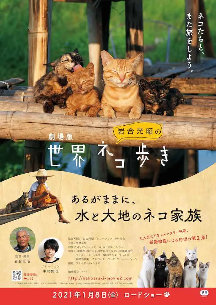 牛の鼻にスリスリする子猫がマジで天使すぎる 映画 世界ネコ歩き 第2弾の予告映像を公開 Cat Press キャットプレス
