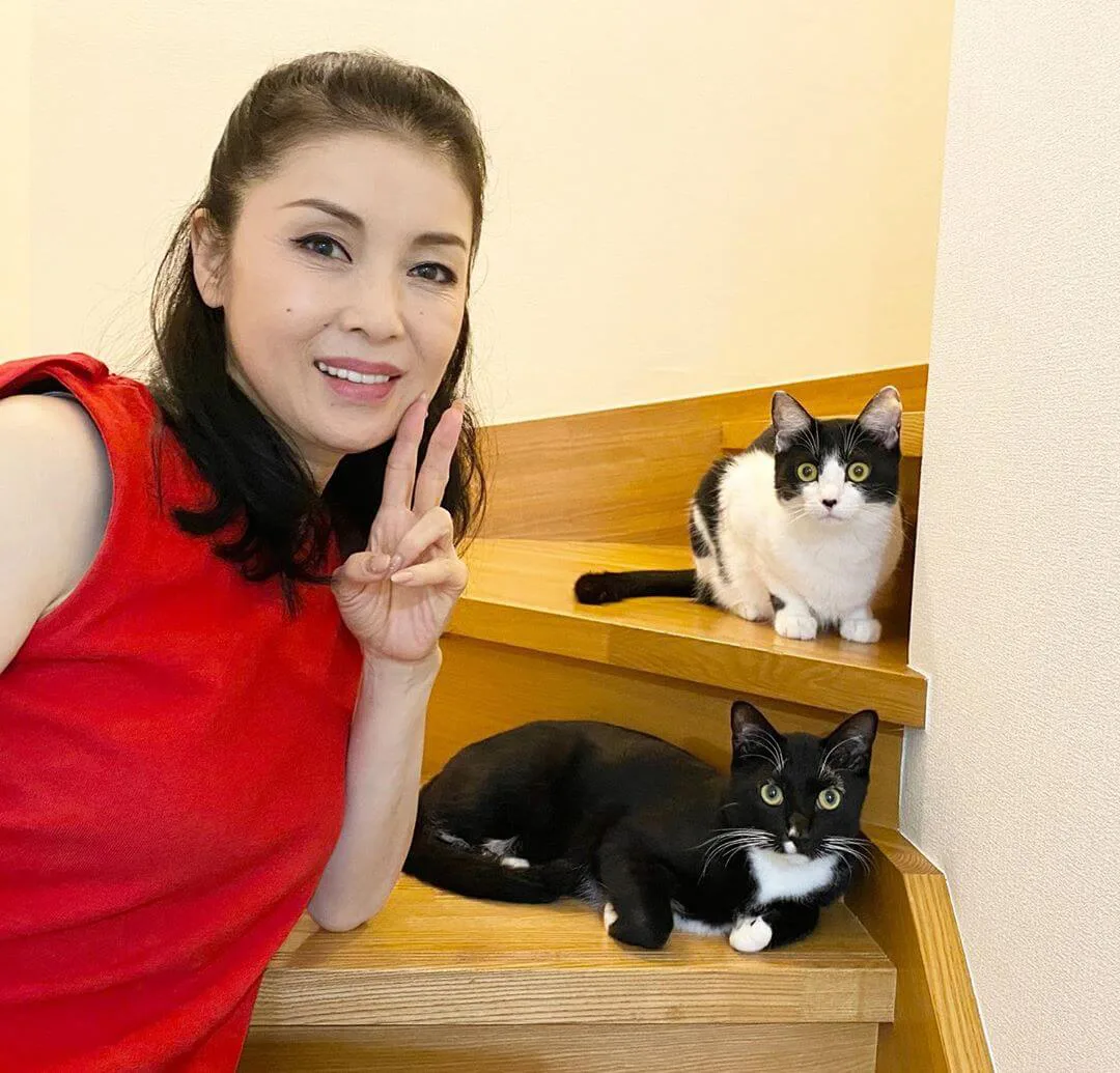 ネコ好きな演歌歌手 藤あや子さんの愛猫 マル と オレオ を再現した食パンが期間限定で発売 Cat Press キャットプレス
