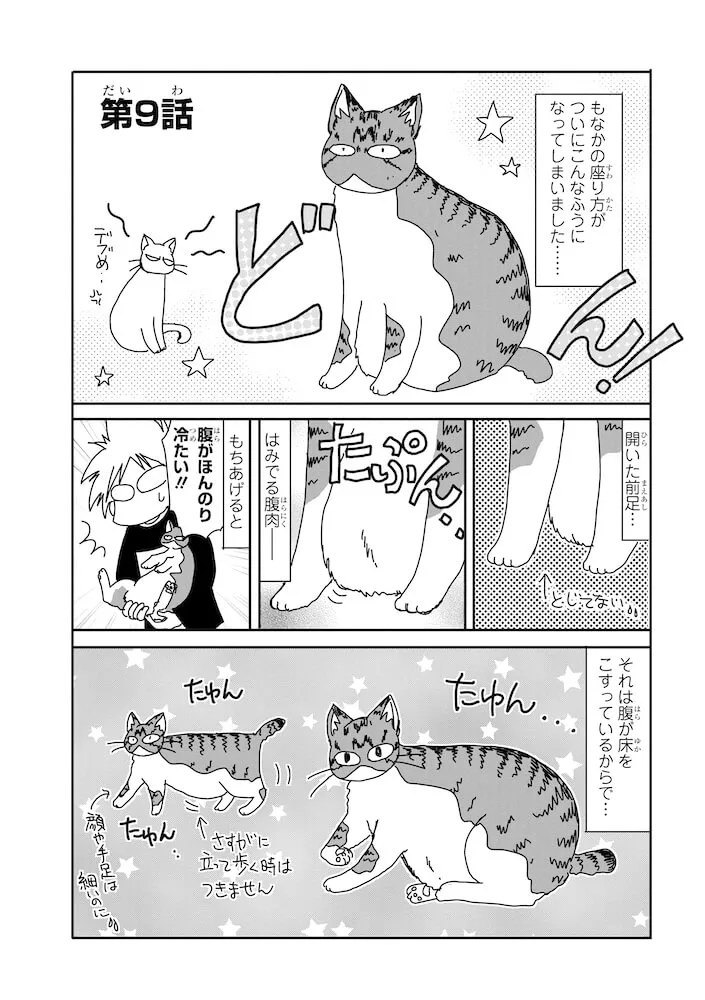 太った猫は態度もデカい デブ猫 美猫のドタバタな日常を描いた おふとりさま猫日和 Cat Press キャットプレス