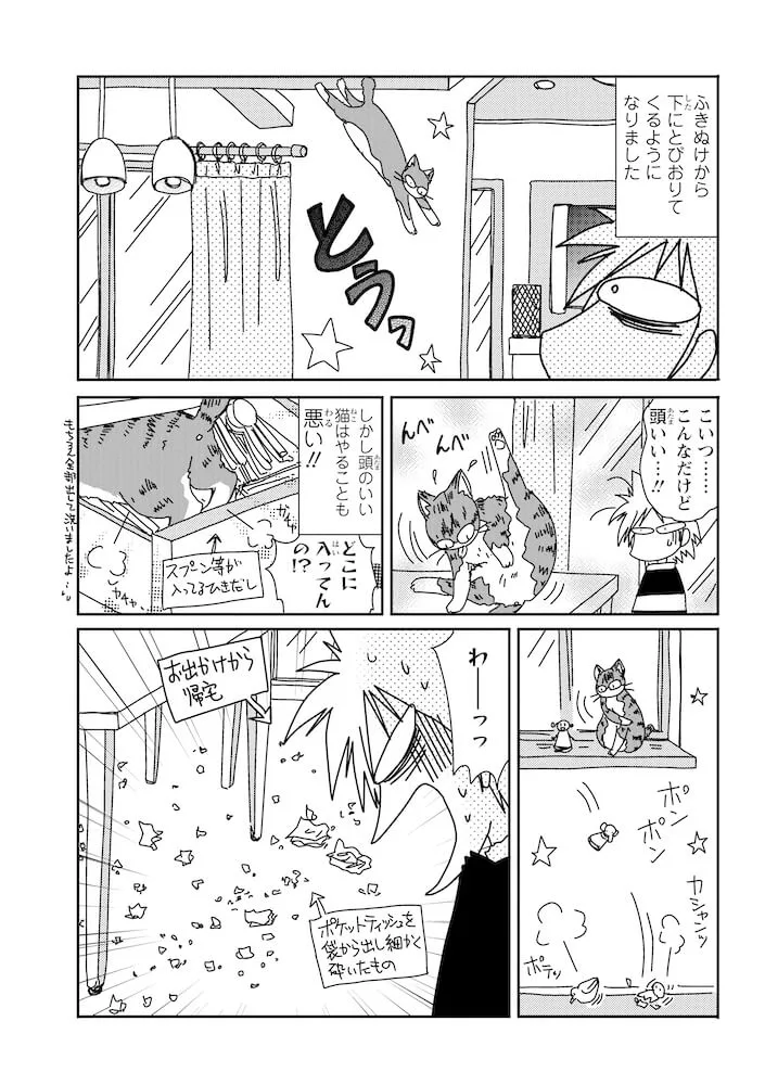 太った猫は態度もデカい デブ猫 美猫のドタバタな日常を描いた おふとりさま猫日和 Cat Press キャットプレス