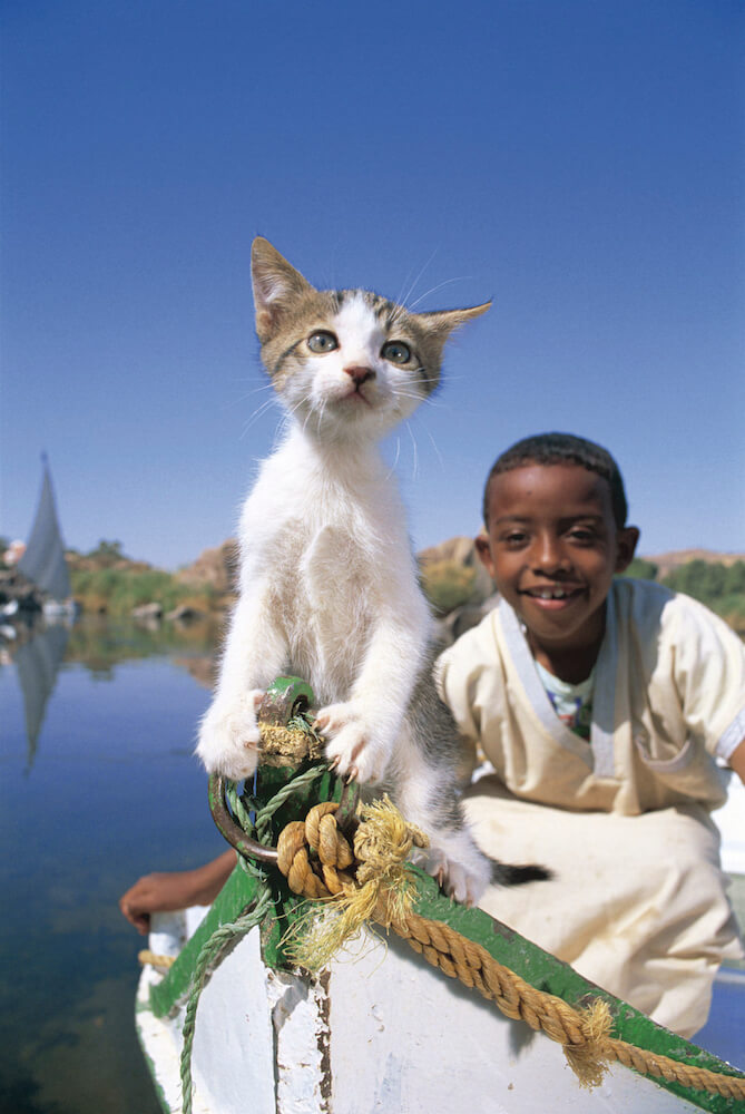 エジプトのエレファンティネ島で撮影されたボートに乗る少年と子猫の写真 by 岩合光昭