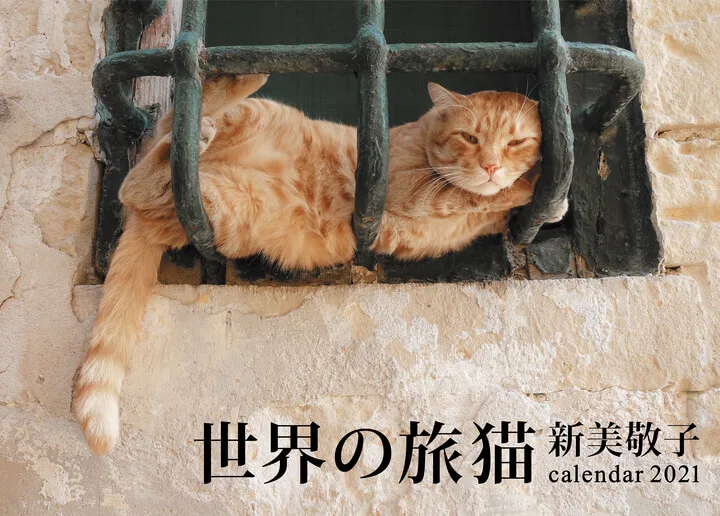 ギリシャからブルネイの猫まで 新美敬子さんが出会った世界の猫カレンダーが登場 21年版 Cat Press キャットプレス