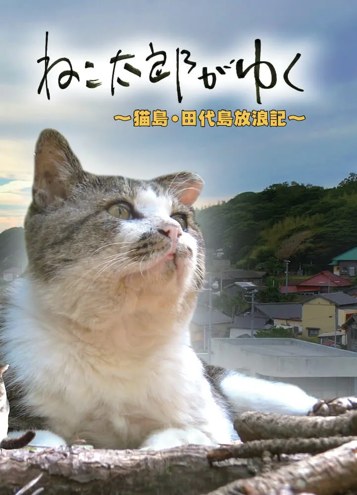 東北の猫島 田代島で愛された ねこ太郎 とは 生前の姿を記録した映像がdvdで登場 Cat Press キャットプレス