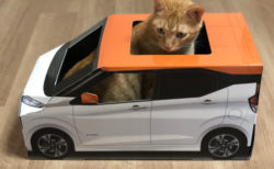 【レビュー】日産が開発した軽自動車型の猫ハウス「おうち用にゃっさんデイズ」を試してみた