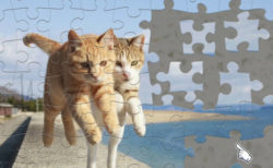 うるにゃん コウペンちゃんなど 18年5月に登場した猫のlineスタンプ2選 Cat Press キャットプレス