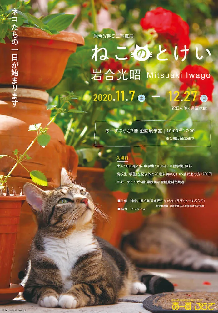 自由気ままなネコの一日ってどんな感じ 岩合光昭ミニ写真展 ねこのとけい 横浜で開催 Cat Press キャットプレス