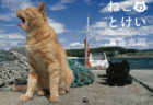自由気ままなネコの一日ってどんな感じ？岩合光昭ミニ写真展「ねこのとけい」横浜で開催