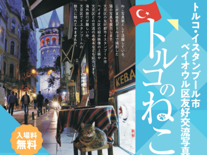 イスタンブールと猫の魅力を紹介する写真展「トルコのねこ」文京区で11月11日より開催