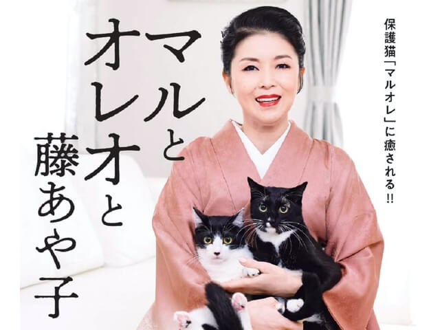 ネコ好きな演歌歌手 藤あや子さんの愛猫が写真集に マルとオレオと藤あや子 予約特典もあるニャ Cat Press キャットプレス