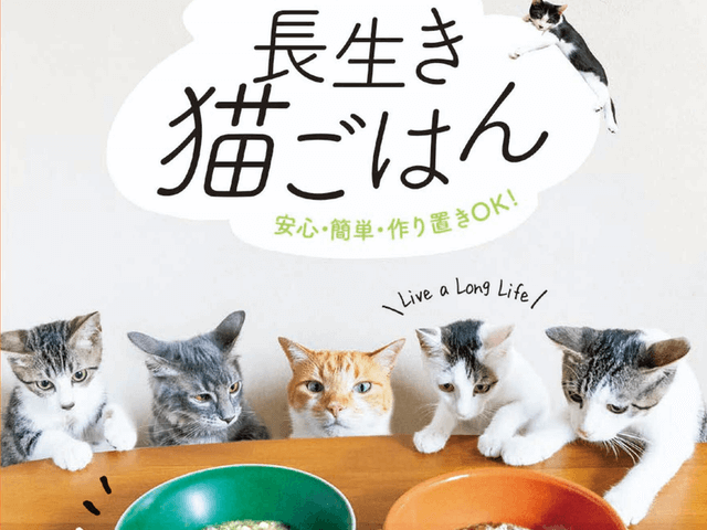 スーパーの食材で手作りできる ベストセラー獣医師が考案したネコ用ご飯のレシピ本が登場 Cat Press キャットプレス