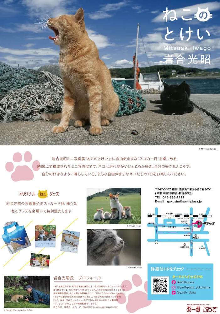 自由気ままなネコの一日ってどんな感じ？岩合光昭ミニ写真展「ねこのとけい」横浜で開催 | Cat Press（キャットプレス）