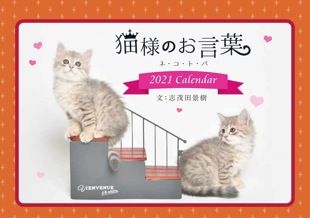 志茂田景樹の猫カレンダー「猫様のお言葉 ネ・コ・ト・バ2021」表紙イメージ