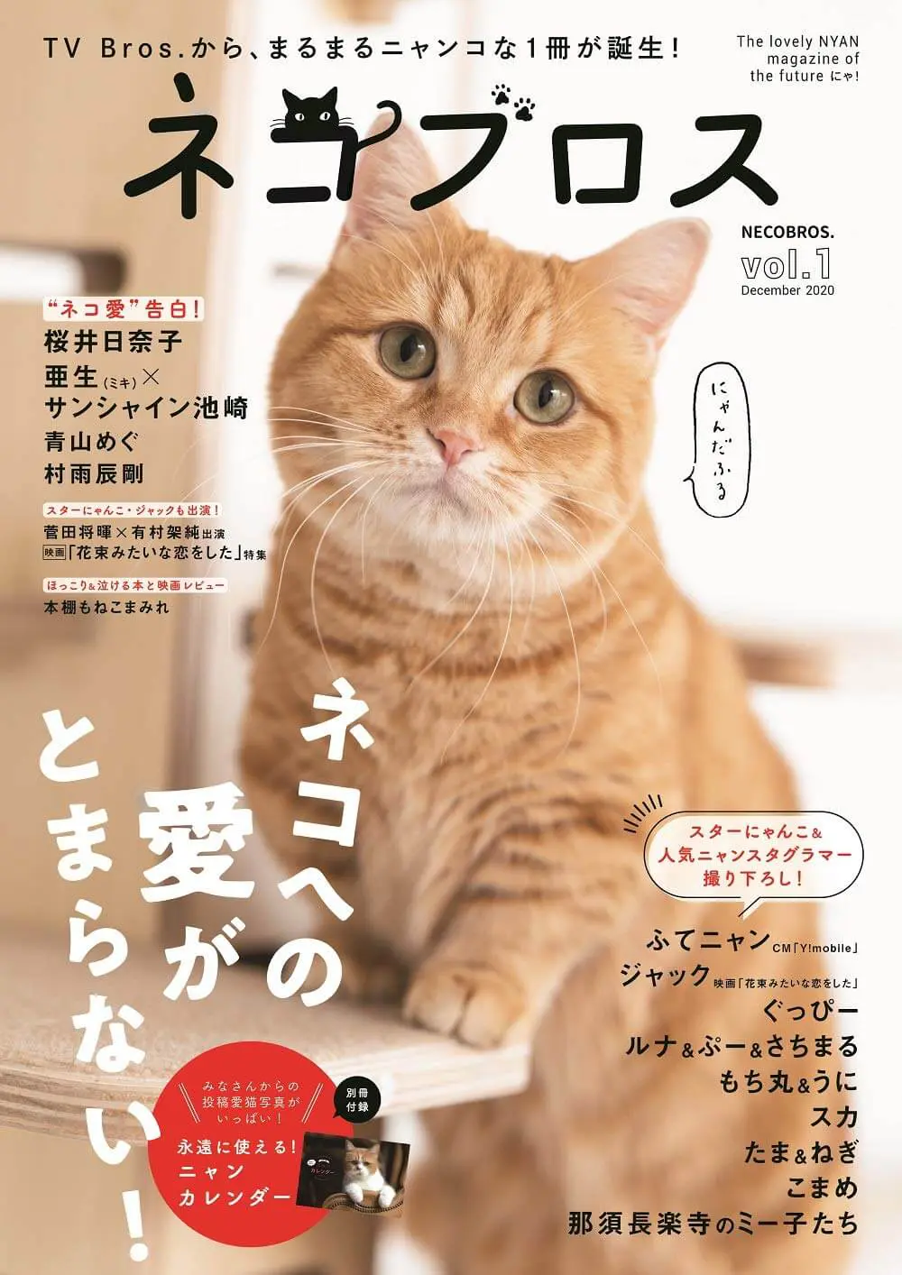 ふてニャン 桜井日奈子 サンシャイン池崎も登場 猫愛が詰まった雑誌 ネコブロス が爆誕 Cat Press キャットプレス