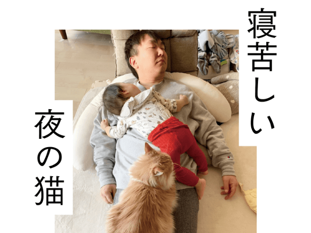 M 1の裏話も 猫5匹を飼っているお笑い芸人 かまいたち山内の初著作 寝苦しい夜の猫 Cat Press キャットプレス