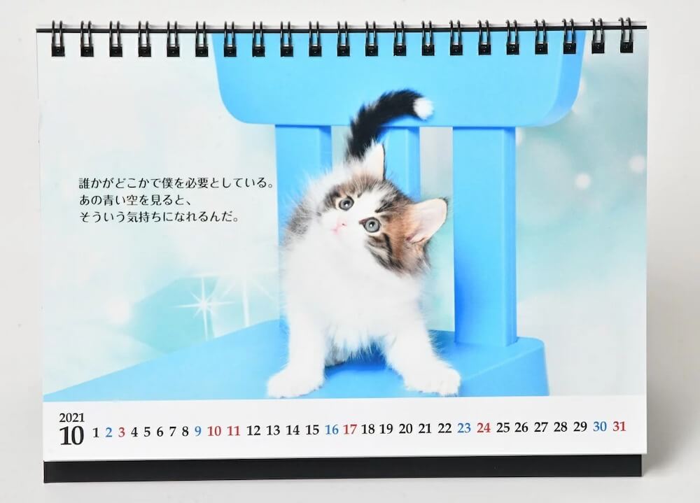 カレンダー「猫様のお言葉 ネ・コ・ト・バ2021」猫の写真と志茂田景樹の名言がプリントされた面