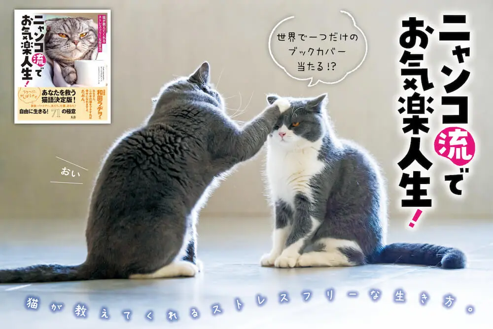 猫好き書店員さんも推薦 かわいい写真いっぱいの 猫 語り下ろしエッセイが登場 Cat Press キャットプレス