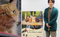 猫を見つめる中村倫也のナレーション風景を公開！映画「世界ネコ歩き」第2弾の予告編映像