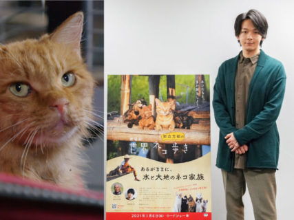 猫を見つめる中村倫也のナレーション風景を公開！映画「世界ネコ歩き」第2弾の予告編映像