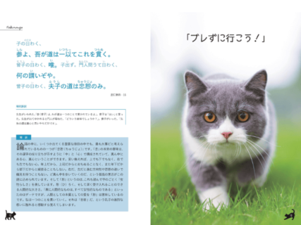 日本で一番ゆる〜い論語の解説書？かわいい猫の写真と一緒に楽しく学べる「ねころん語」
