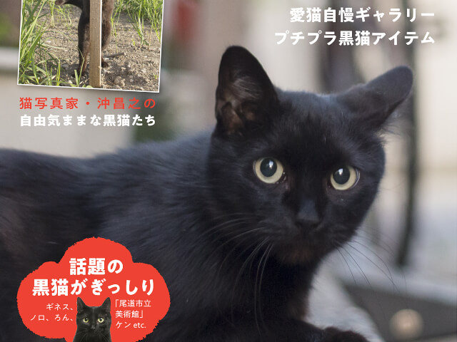 黒猫の歴史から話題の猫まで紹介 一冊まるごと黒猫にフォーカスした雑誌 黒猫まみれ Cat Press キャットプレス