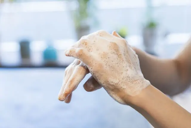 刺繍作家がつくる招き猫ハンドタオルがかわいい 今なら小判に好きな文字を入れられるニャ Cat Press キャットプレス