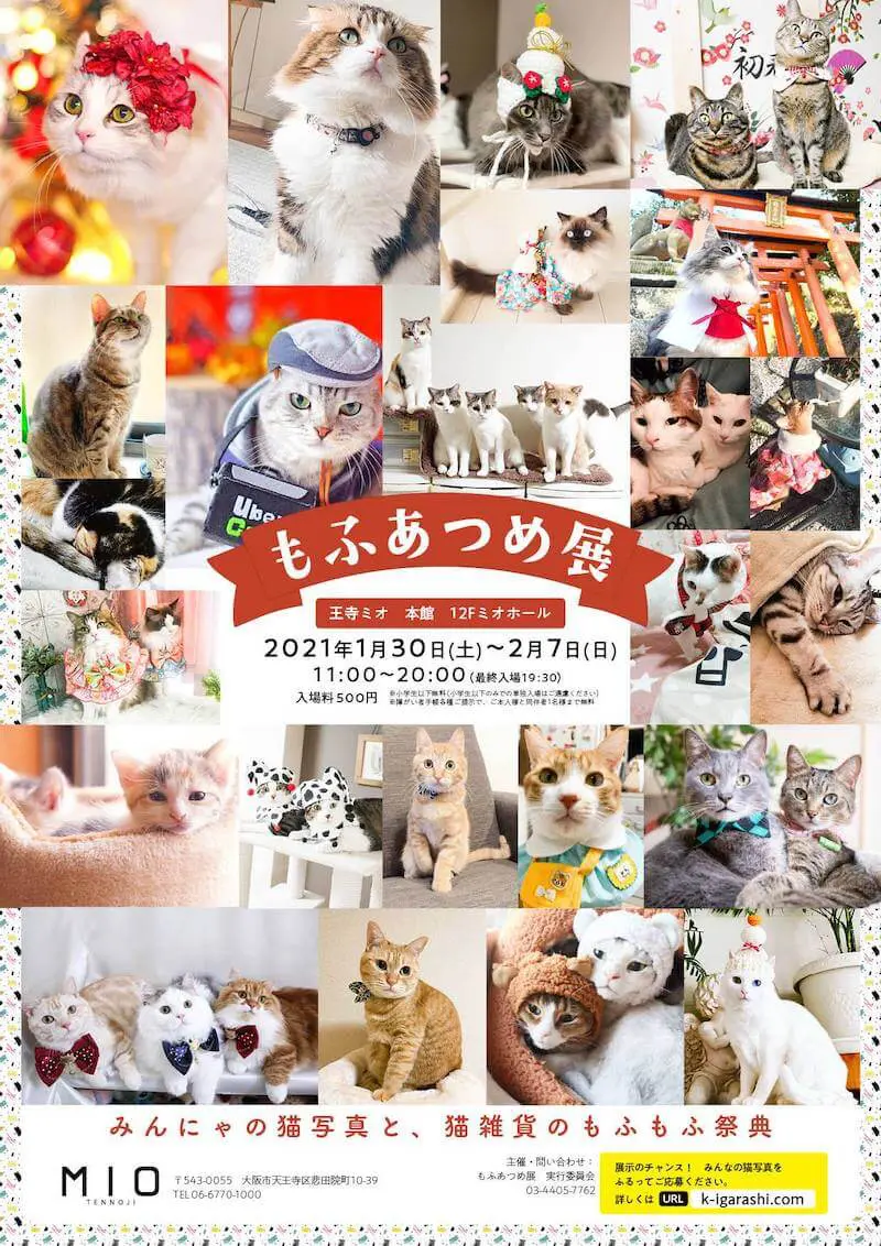 展示作品は全部で800点以上 ネコや動物の作品を集めた もふあつめ展 が大阪で開催 Cat Press キャットプレス