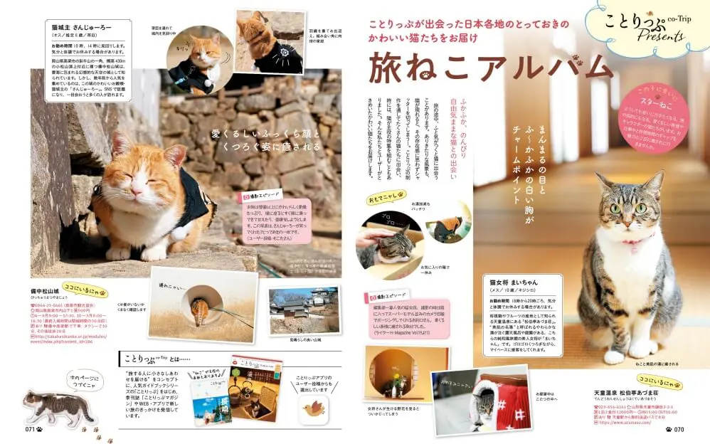 コロナ禍でも猫と旅気分を味わえるニャ！旅行誌のまっぷるから猫版の