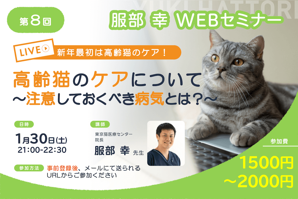 高齢猫・老猫の注意すべき病気とは？ねこ専門医・服部幸獣医師のWEB 