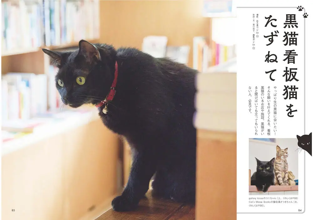 黒猫の歴史から話題の猫まで紹介！一冊まるごと黒猫にフォーカスした