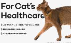 暴走族風の猫キャラ なめ猫 のline着せかえが登場 Cat Press キャットプレス