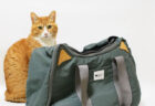 旅行だけでなくネコを運ぶのにも使える！猫耳デザインのかわいいボストンバッグが登場