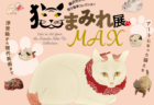350点の猫アートが大集結！浮世絵から現代美術までを展示する「猫まみれ展MAX」札幌で開催