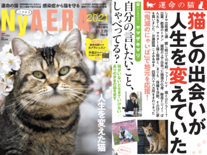 ねこ雑誌 NyAERA（ニャエラ）最新号は沖昌之さんの猫カレンダー付き！岩合さんのカメラレッスンも