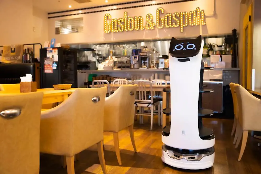 猫がテーブルまで料理を運んでくれる ネコ型の自動デリバリーロボット Bellabot ベラボット Cat Press キャットプレス