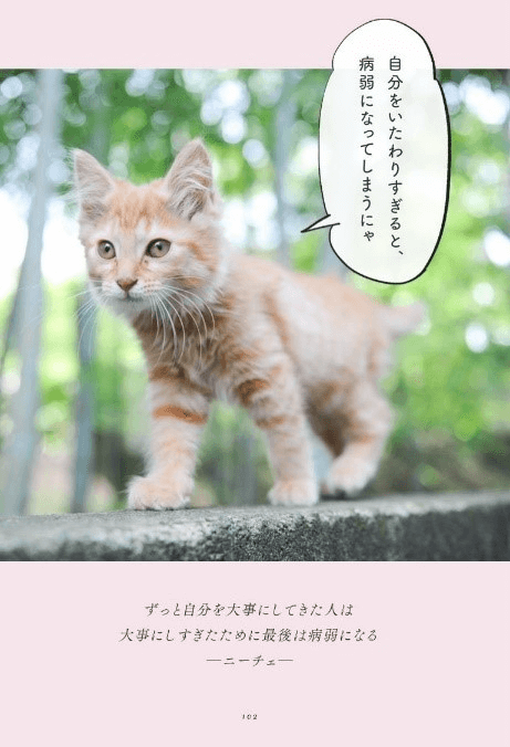 ネコが人生の役に立つ名言をゆる く解説 哲学入門書 考えない猫が教える脱力系哲学の言葉 Cat Press キャットプレス