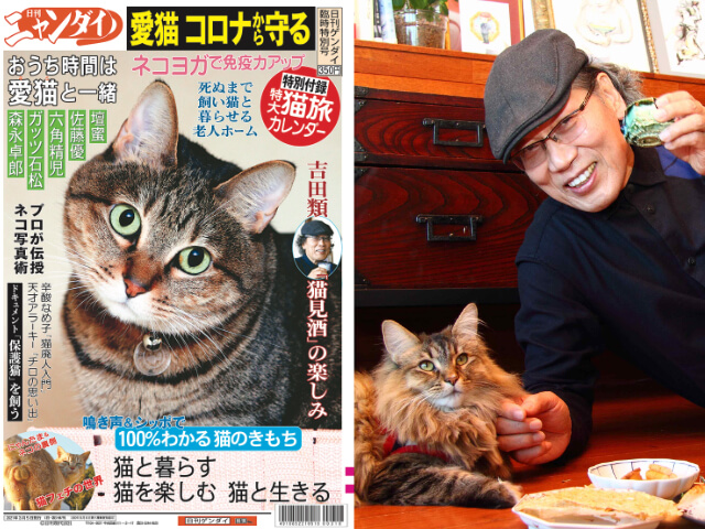あの夕刊紙がネコ特集号『日刊ニャンダイ』を駅の売店で発売！猫とお酒 