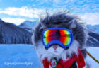 ゴーグル姿が超かっこいい！カナダで暮らす猫の「ゲイリー」くんはスキーも楽しむアウトドア派
