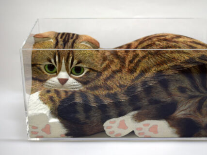 透明な箱に入っているのは…木彫りの猫！注目作家のアート作品を集めた『猫・ネコ・ねこ展』大阪で開催