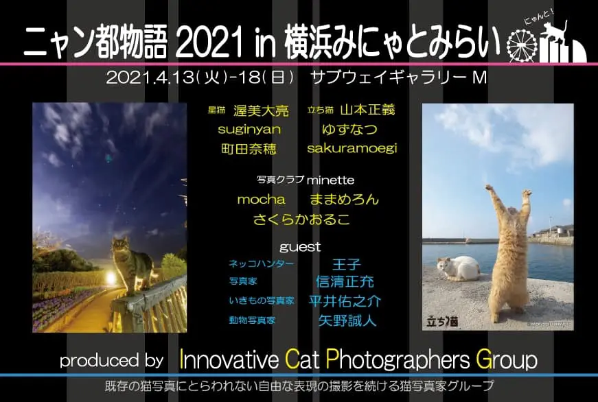 話題の立ち猫から海辺の猫まで 13名の写真家によるネコの写真展 ニャン都物語 横浜で開催 Cat Press