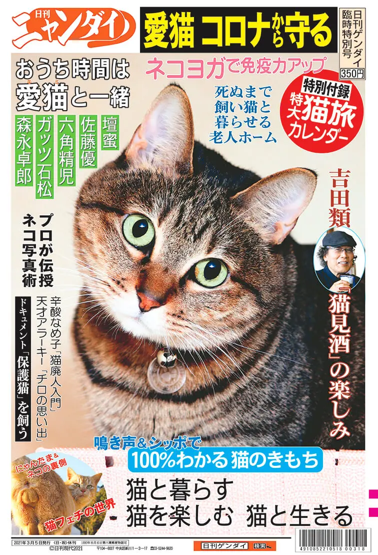 あの夕刊紙がネコ特集号 日刊ニャンダイ を駅の売店で発売 猫とお酒が好きな吉田類さんも登場 Cat Press キャットプレス