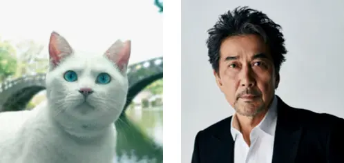 猫の声を演じるのは 福山雅治 仲里依紗 長濱ねる 長崎出身の著名人7名が結集した動画が話題に Cat Press